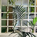 Bbsuite21 Panzió