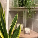 Bed & Breakfast Bbsuite21 4*