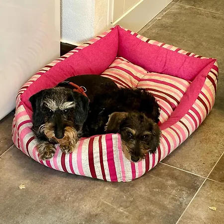 Bed & Breakfast Bbsuite21 Maranello