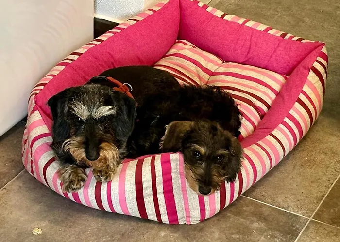 Nocleg ze śniadaniem Bbsuite21 Maranello