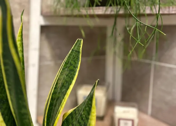 Nocleg ze śniadaniem Bbsuite21 4*